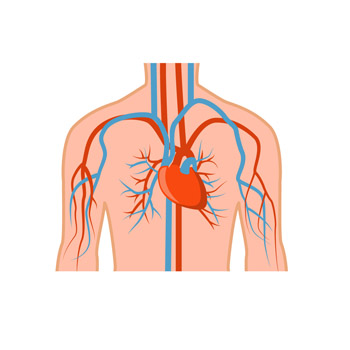 Findhealth